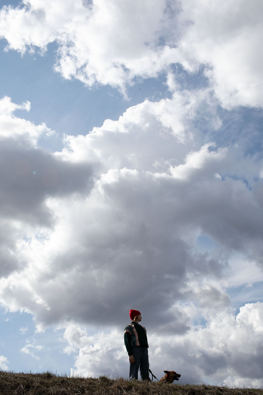 Мой любимы пёс. Фотограф в Москве Шаганова Нина