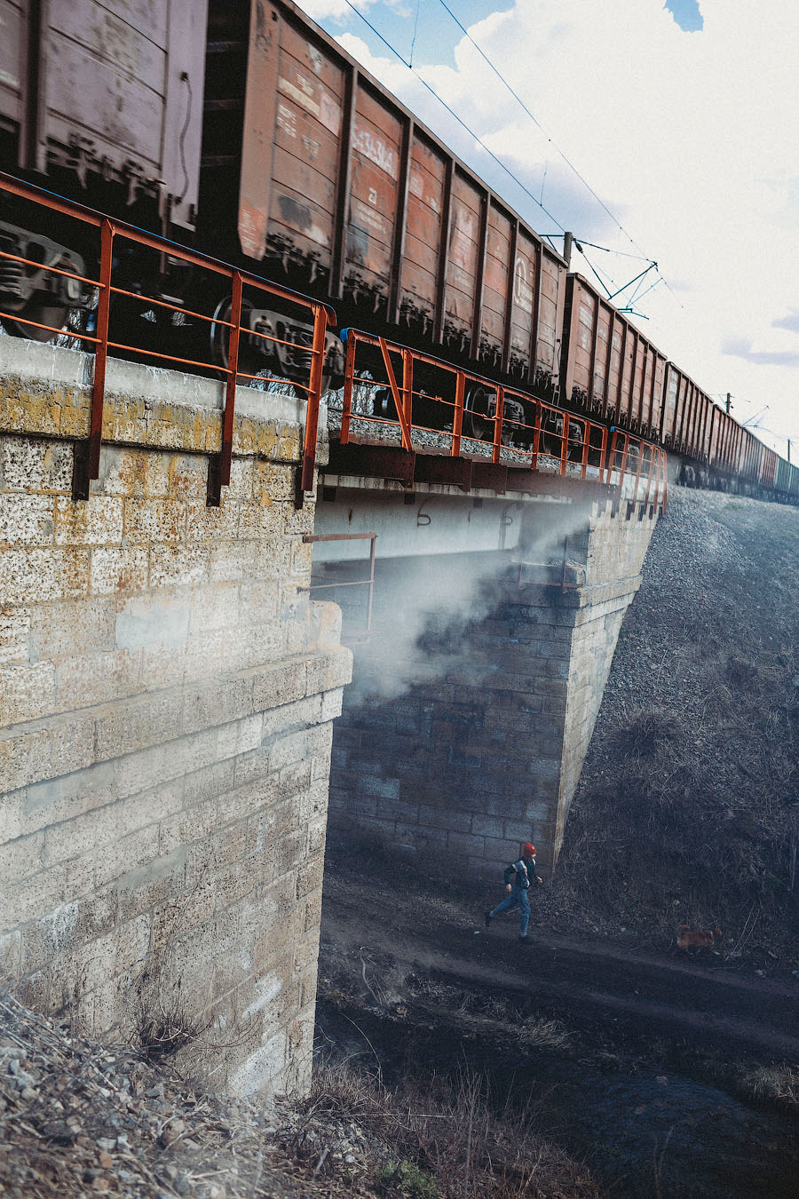 Фотосессия с собакой