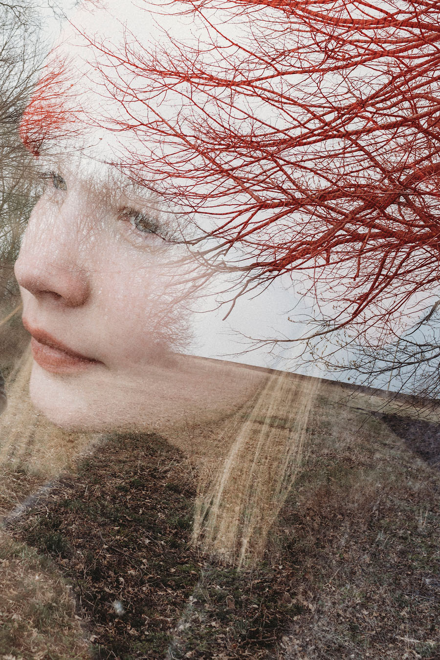 красивая девушка в красной шапке на улице вечной