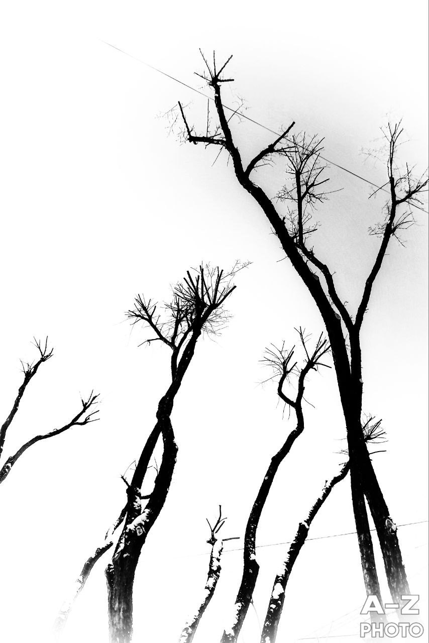 #ФОТОНЕДЕЛИ 09.02.2026. Женский семейный фотограф Тула Москва Захарова Анна