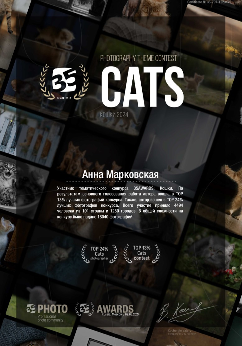 Достижения. Детский и семейный фотограф в Санкт-Петербурге Анна Марковская