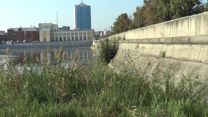 Обертоны. Artist Oleg Semenovykh