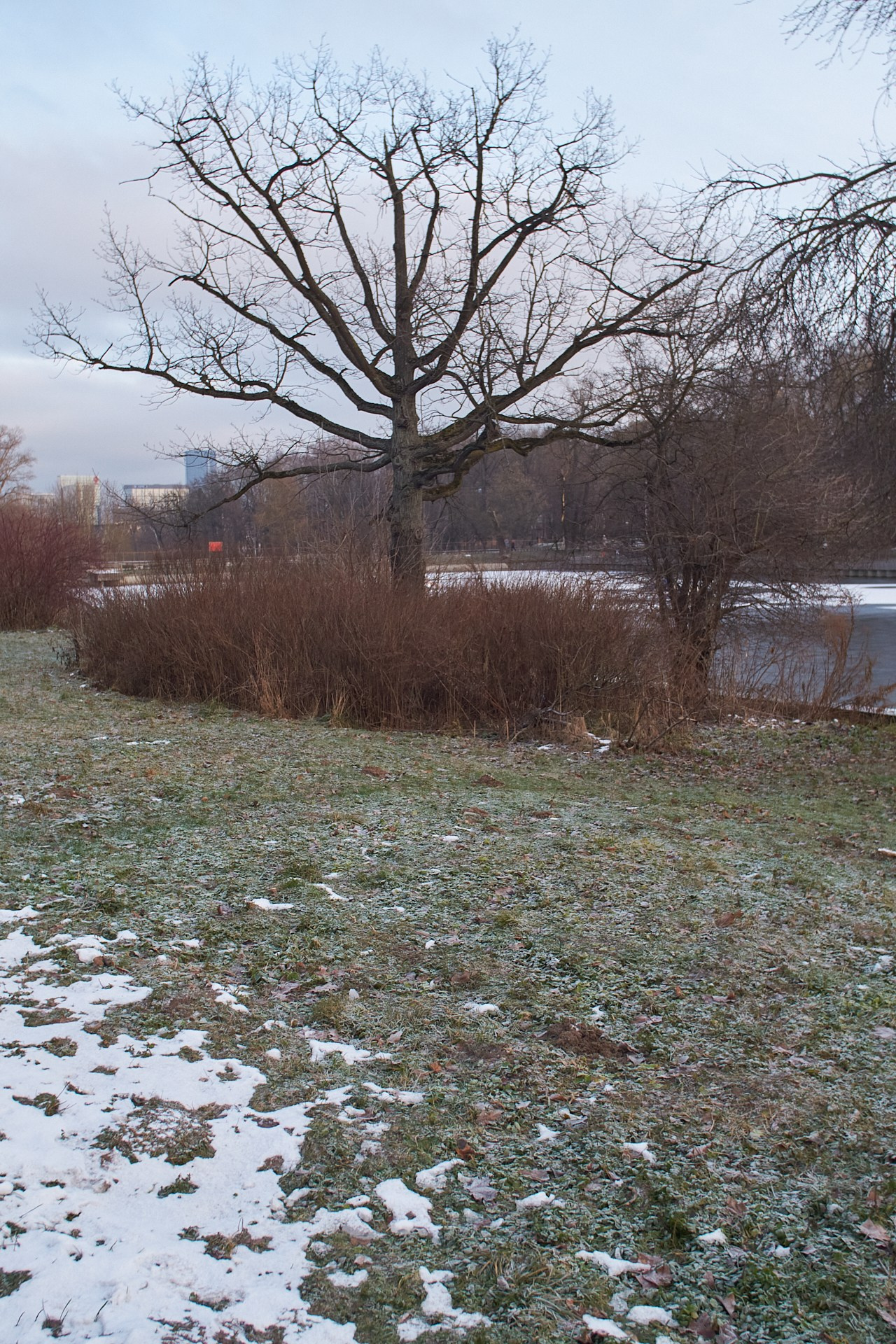 ЖИЗНЬ в 5 элементах стихий — ДЕРЕВО и ЗЕМЛЯ. Сайт фотографа Виталия Дени