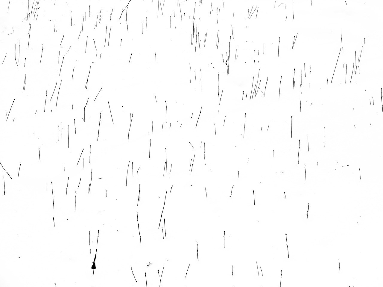 Реальная геометрия. Фотограф Евгений Андреев