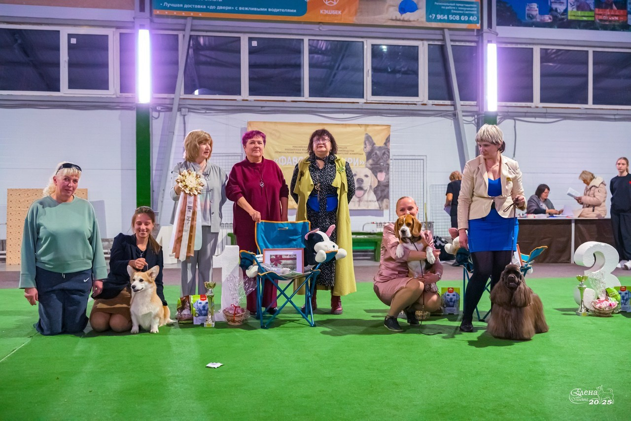 Отзывы. Фотограф анималист Елена Галдина г. Красноярск