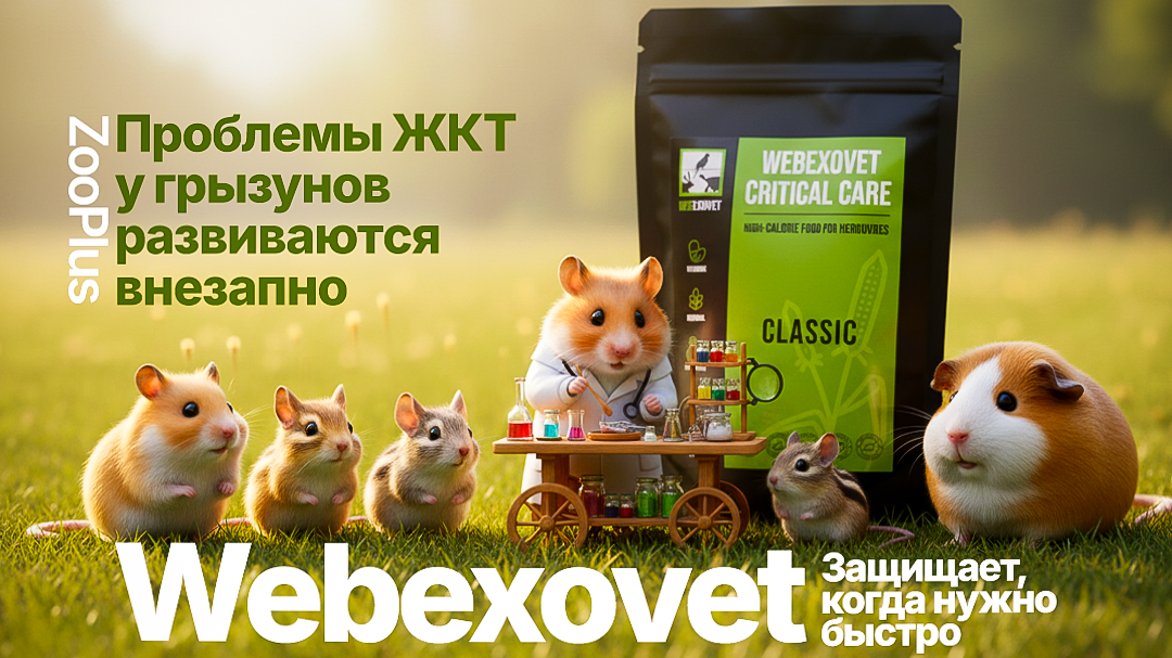 Рич контент/рекламные креативы. Инфографика для маркетплейсов, ваш персональный дизайнер