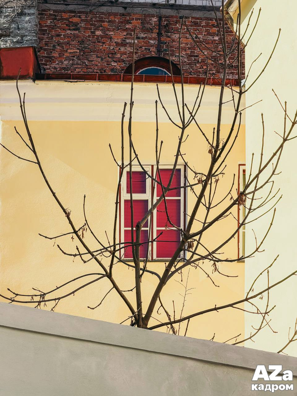 AZакадром «В поисках красного». Женский семейный фотограф Тула Москва Захарова Анна