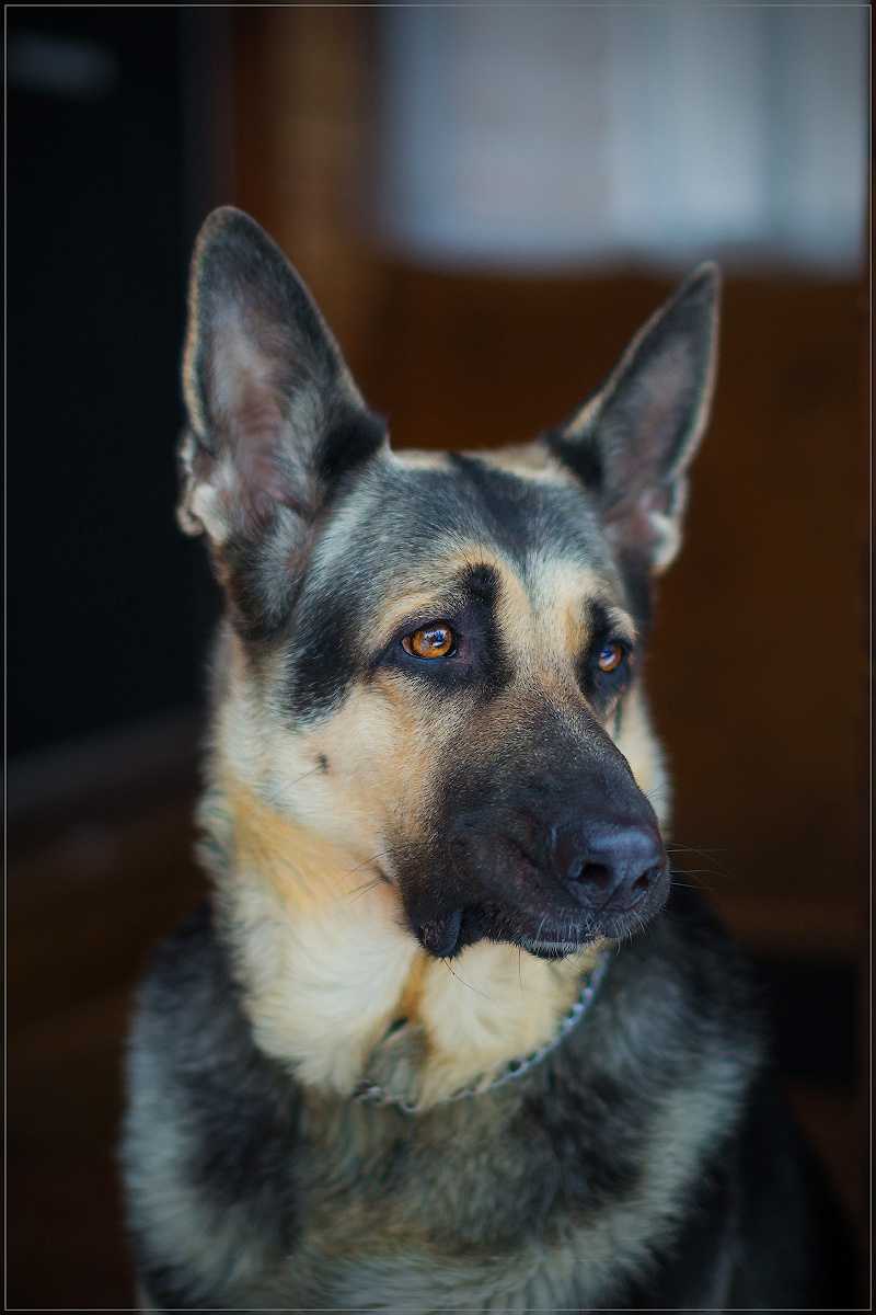 Даниил Мурай. Семейное фото. Мужской портрет. Женский портрет. Даниил Мурай — Фотограф Зеленоград- Аланья