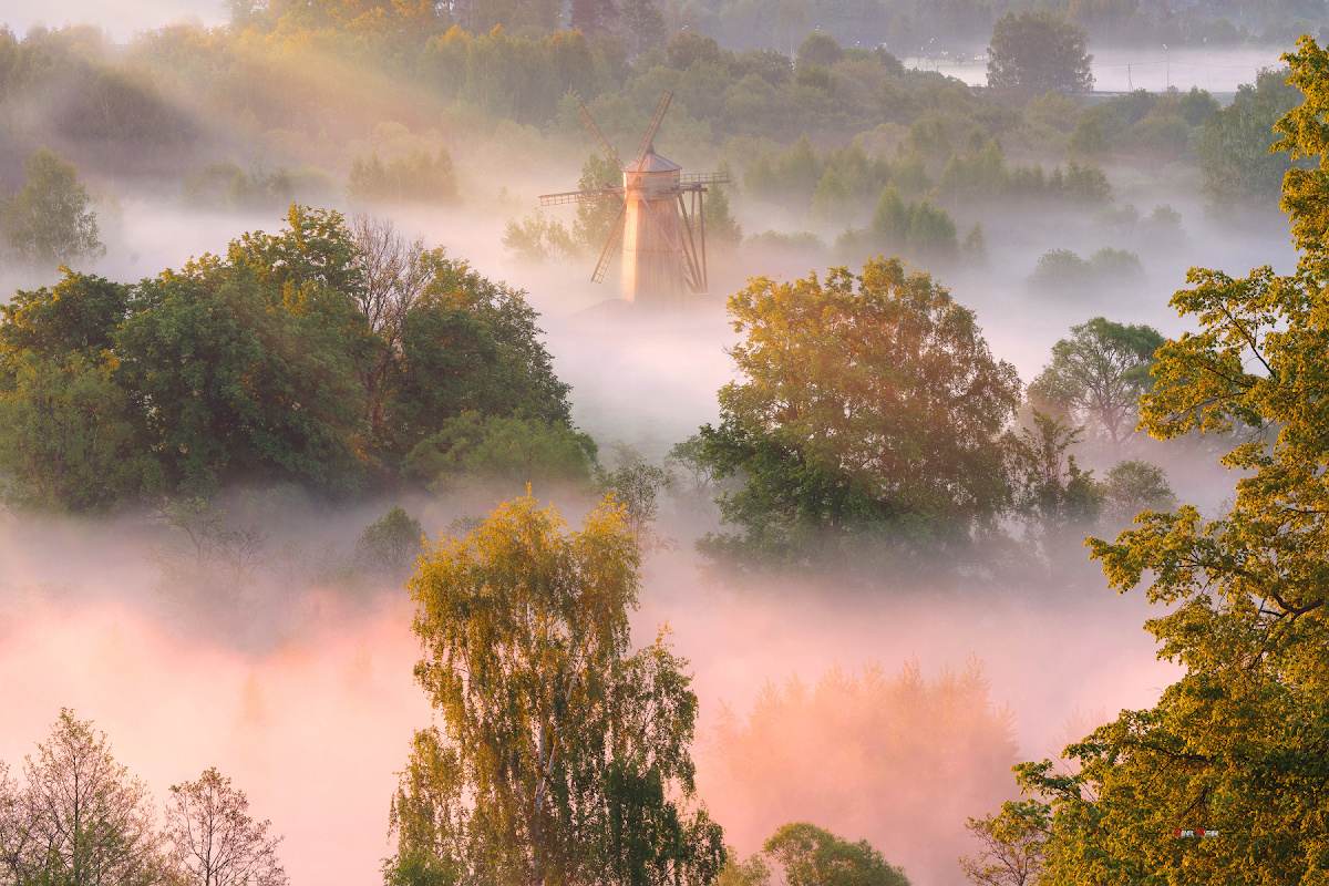 Даниил Мурай. Семейное фото. Мужской портрет. Женский портрет. Даниил Мурай — Фотограф Зеленоград- Аланья
