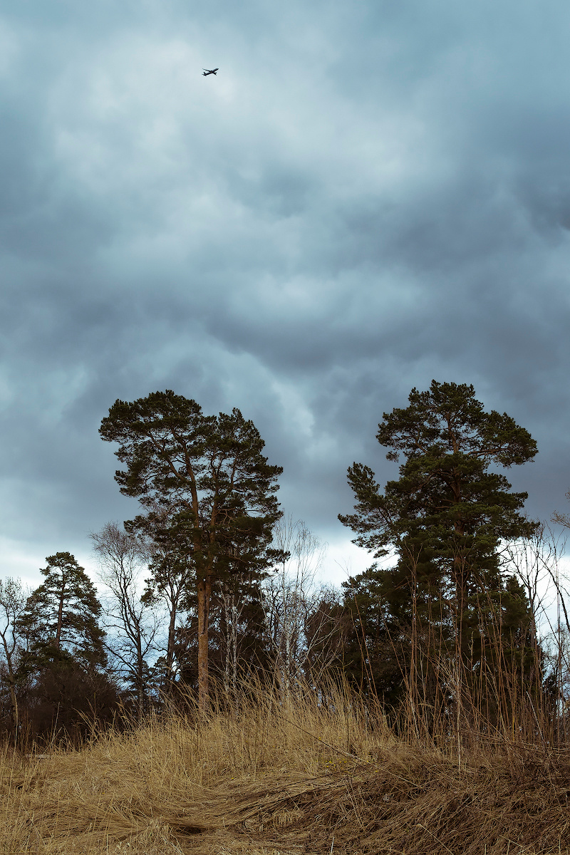 Даниил Мурай. Семейное фото. Мужской портрет. Женский портрет. Даниил Мурай — Фотограф Зеленоград- Аланья