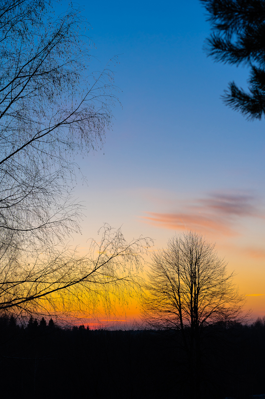 Даниил Мурай. Семейное фото. Мужской портрет. Женский портрет. Даниил Мурай — Фотограф Зеленоград- Аланья