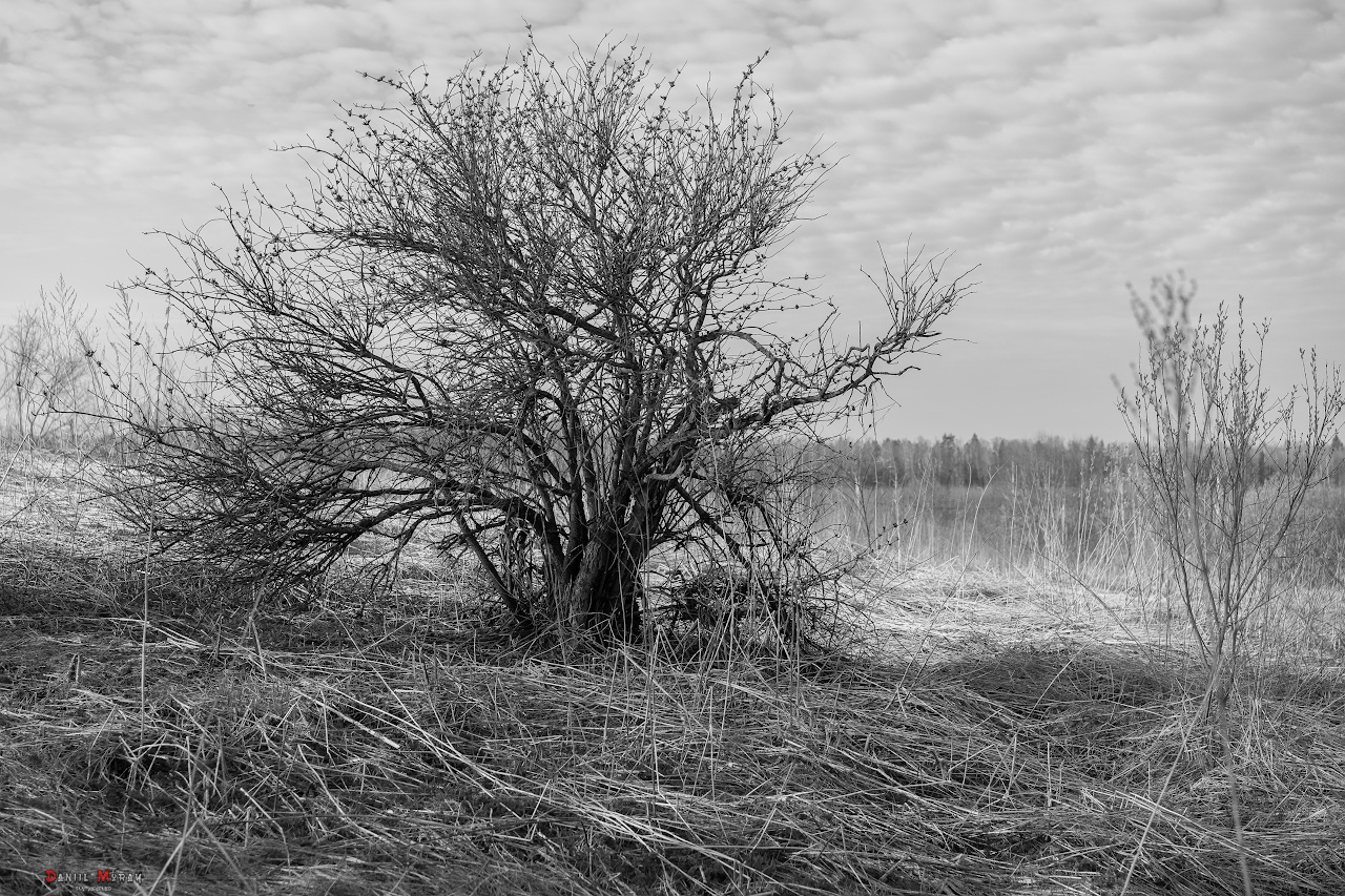 Даниил Мурай. Семейное фото. Мужской портрет. Женский портрет. Даниил Мурай — Фотограф Зеленоград- Аланья