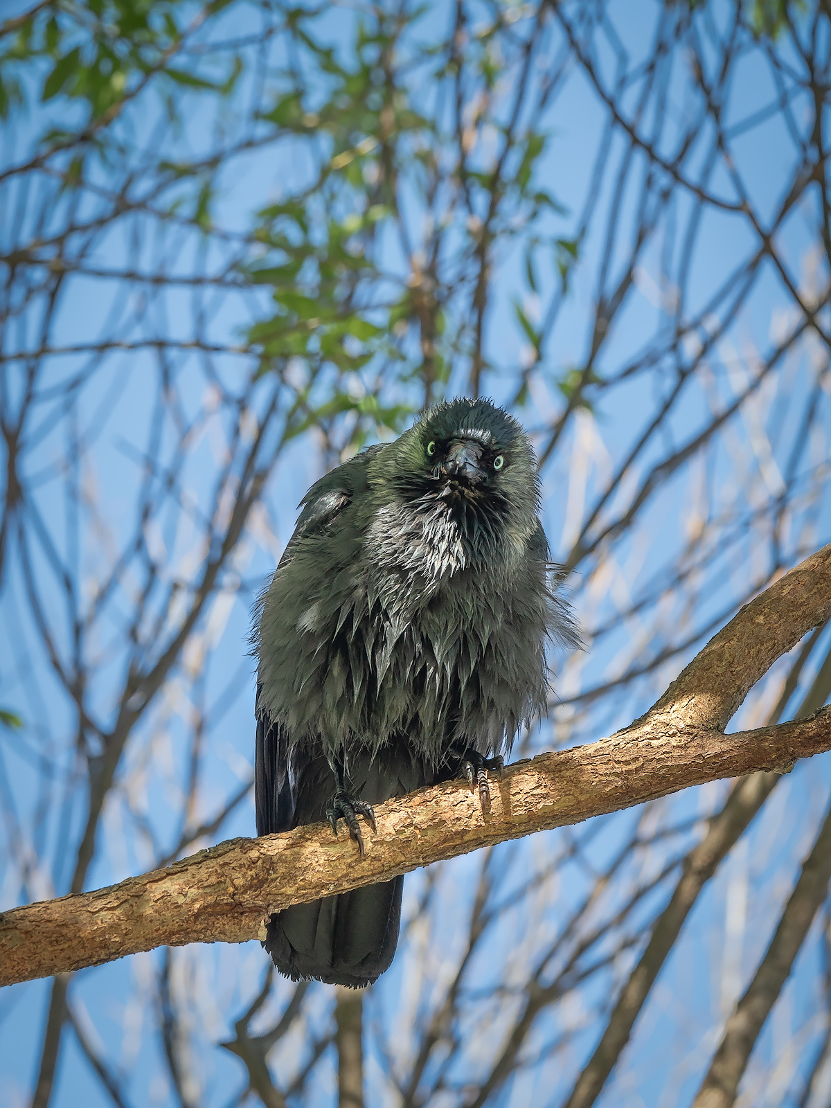 Даниил Мурай. Семейное фото. Мужской портрет. Женский портрет. Даниил Мурай — Фотограф Зеленоград- Аланья