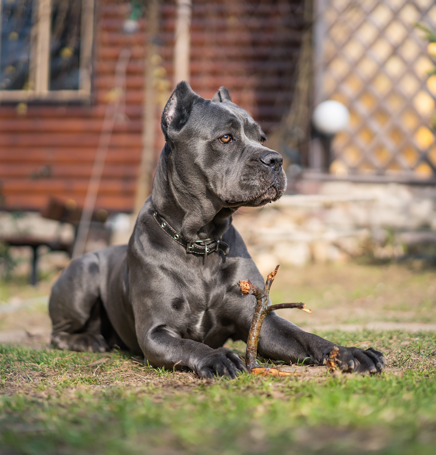 Даниил Мурай. Семейное фото. Мужской портрет. Женский портрет. Даниил Мурай — Фотограф Зеленоград- Аланья