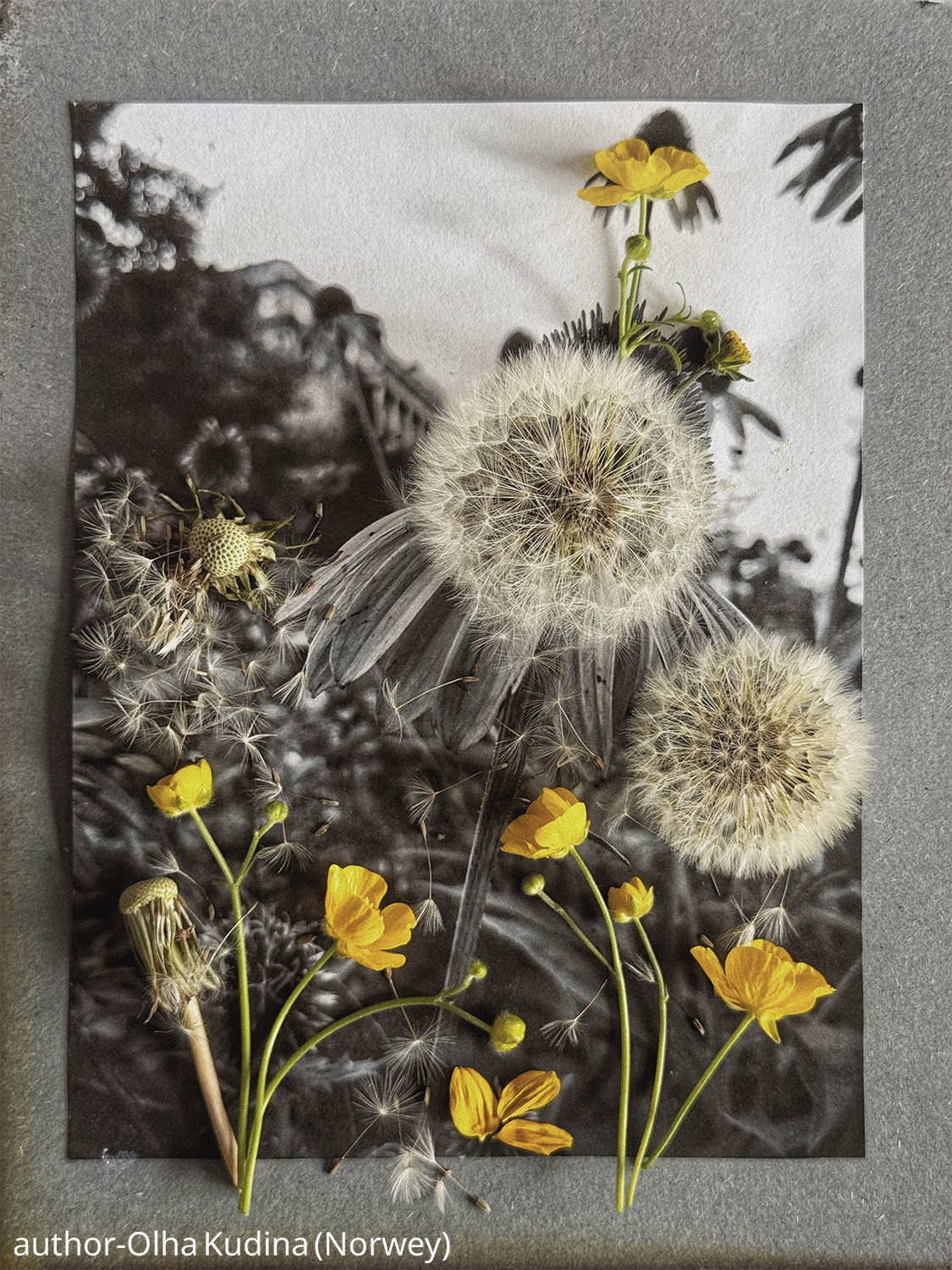 Gallery. UNUSUAL TALENT magazine