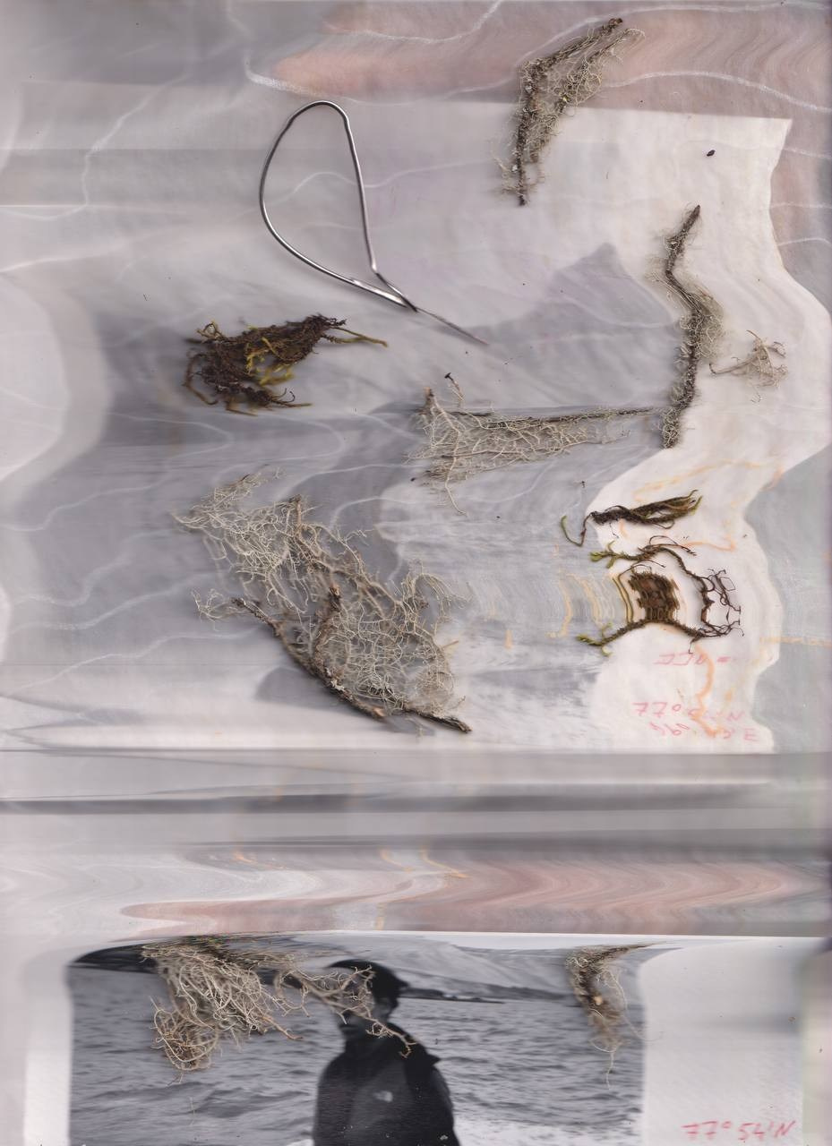 SEDIMENTS AND FOSSILS. Xexexena.ru