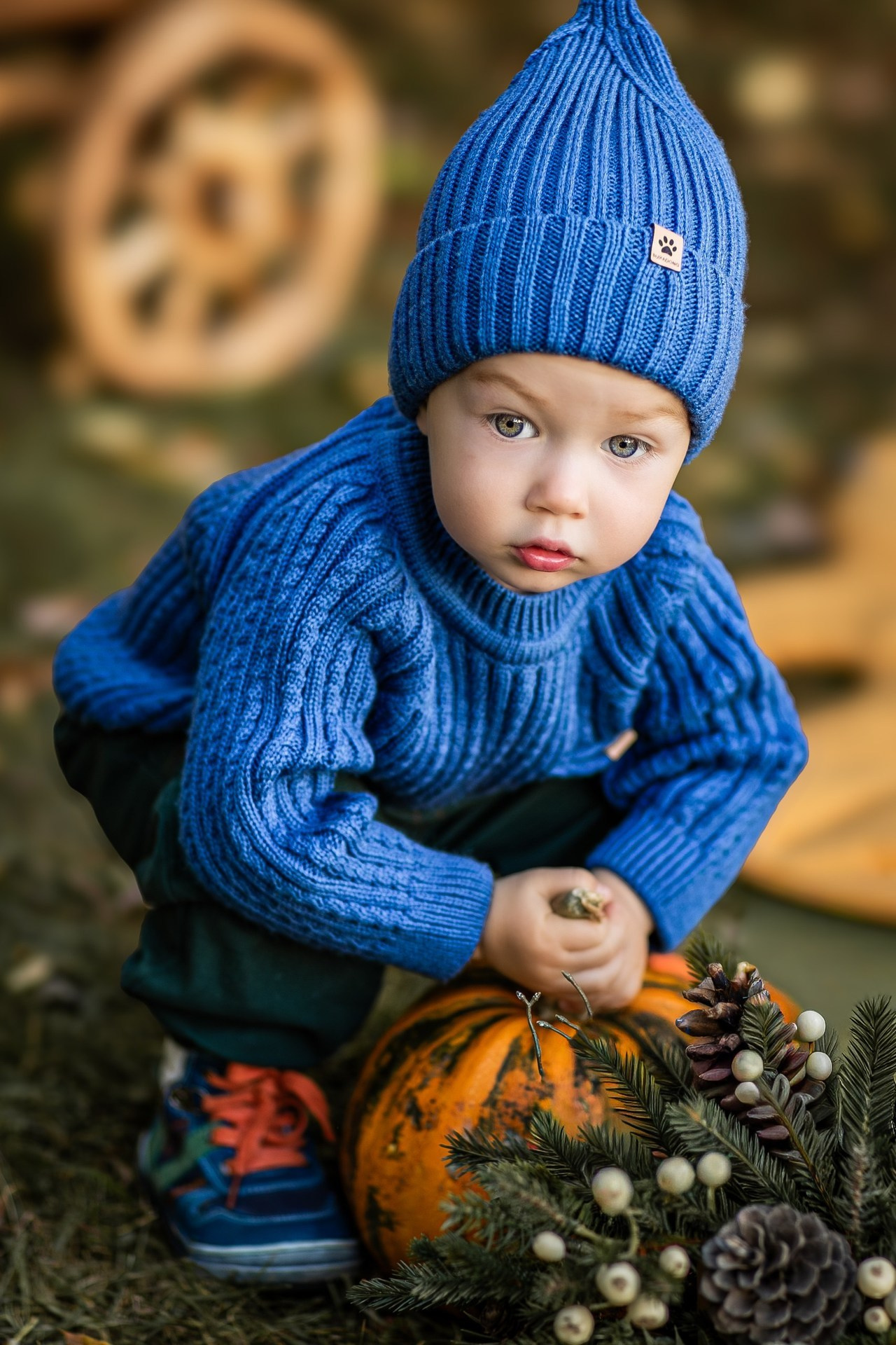 Осенние. Фотограф Елена Вишневская (Ушакова) Нефтеюганск, Сургут, Тюмень