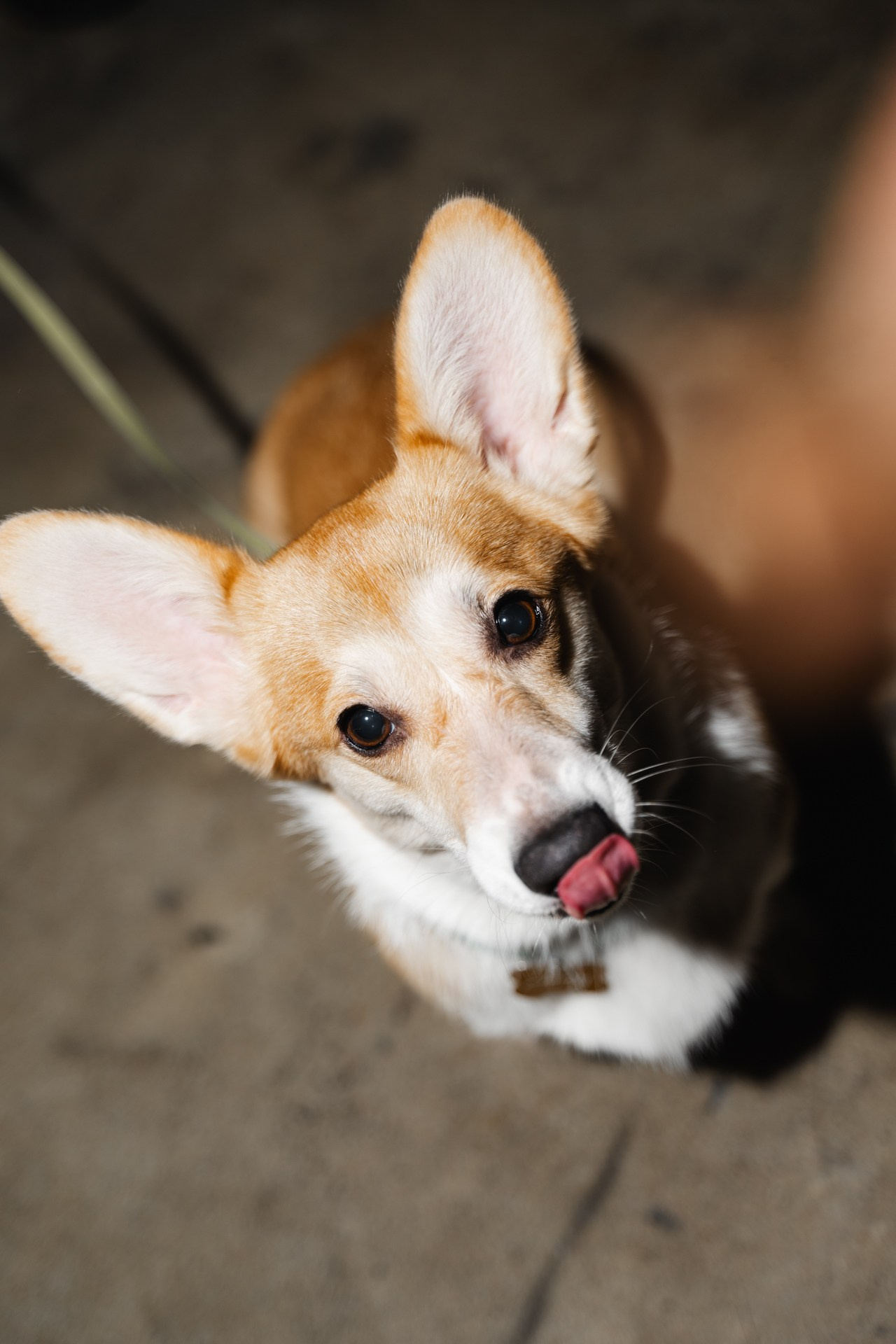 Кирилл Даровских. Выставка ART IS A TECHNOLOGY. Фотографы и Видеографы Night2Day Санкт-Петербург