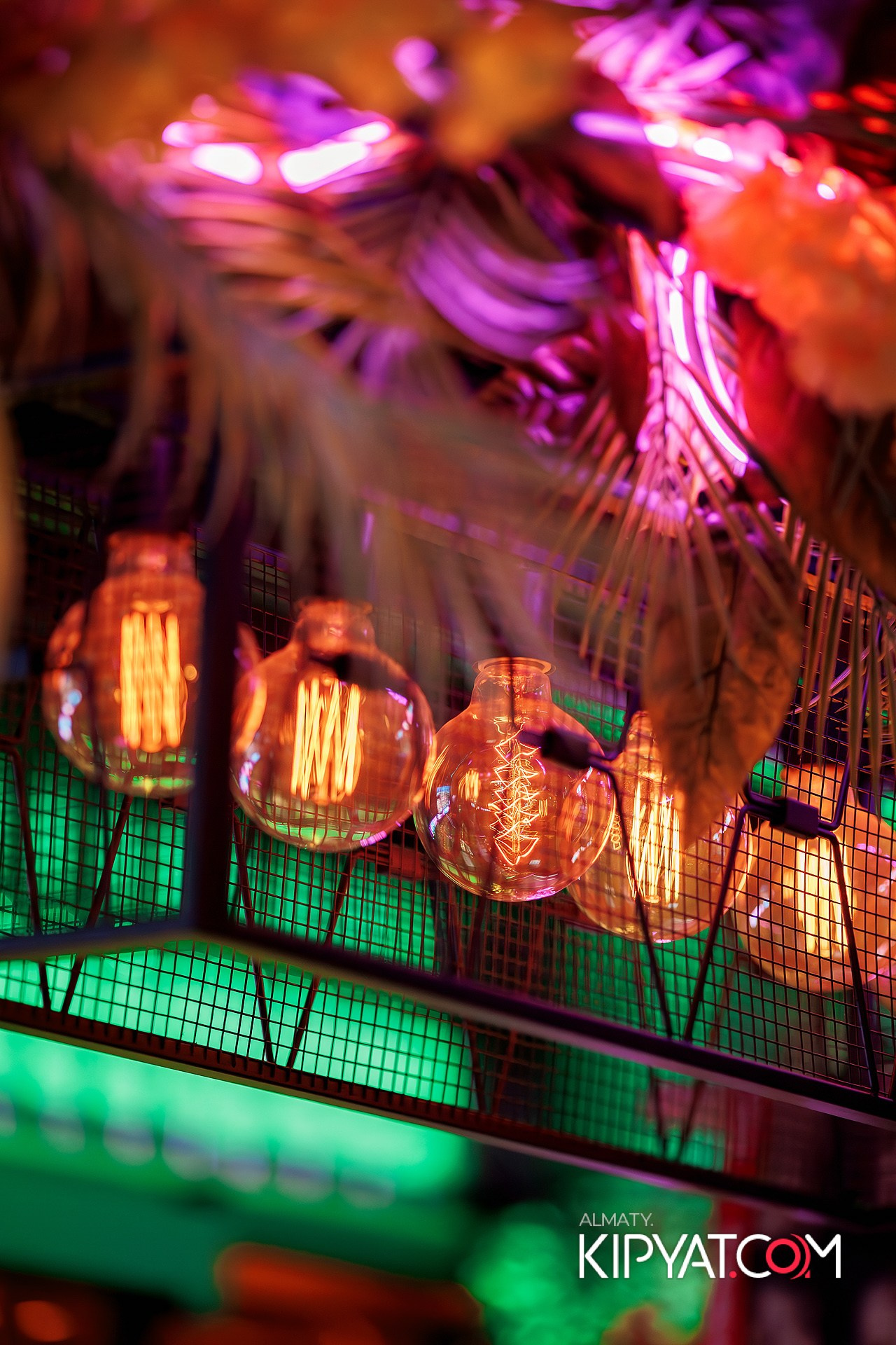 VICTORY MEXICAN AND WILD. КИПЯТКОМ АЛМАТЫ!