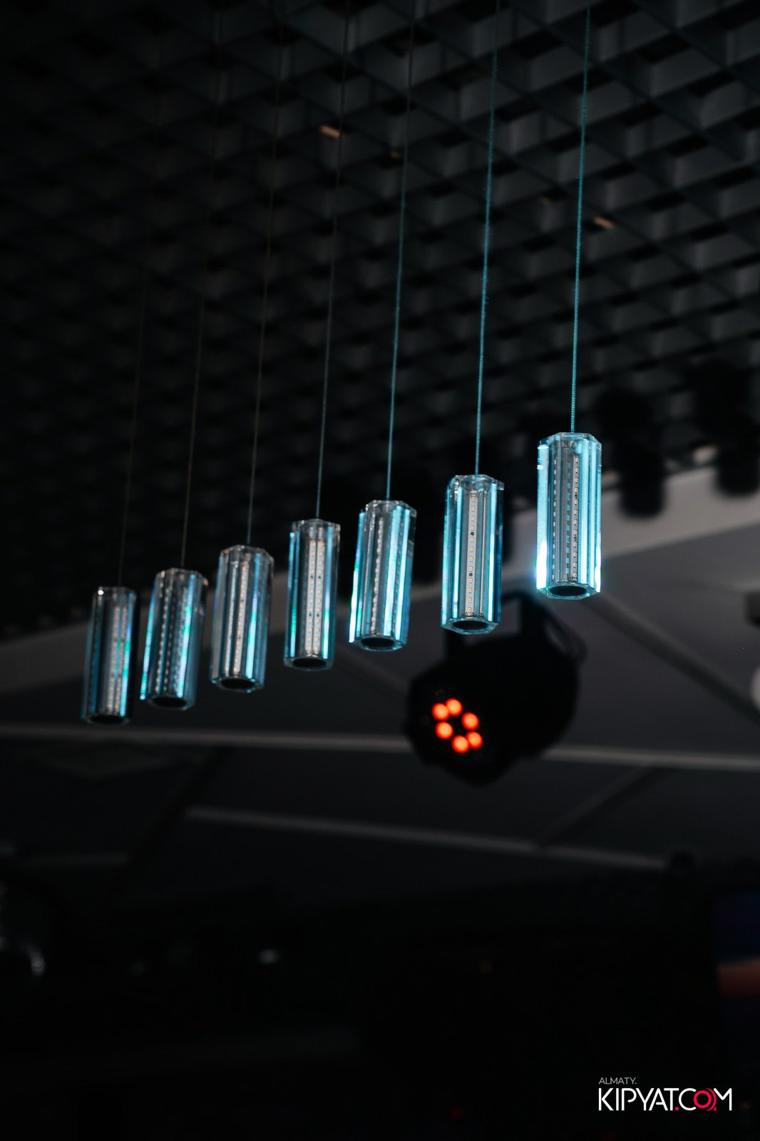 УХО И МЕДВЕДЬ НА КУРМАНГАЗЫ. КИПЯТКОМ АЛМАТЫ!