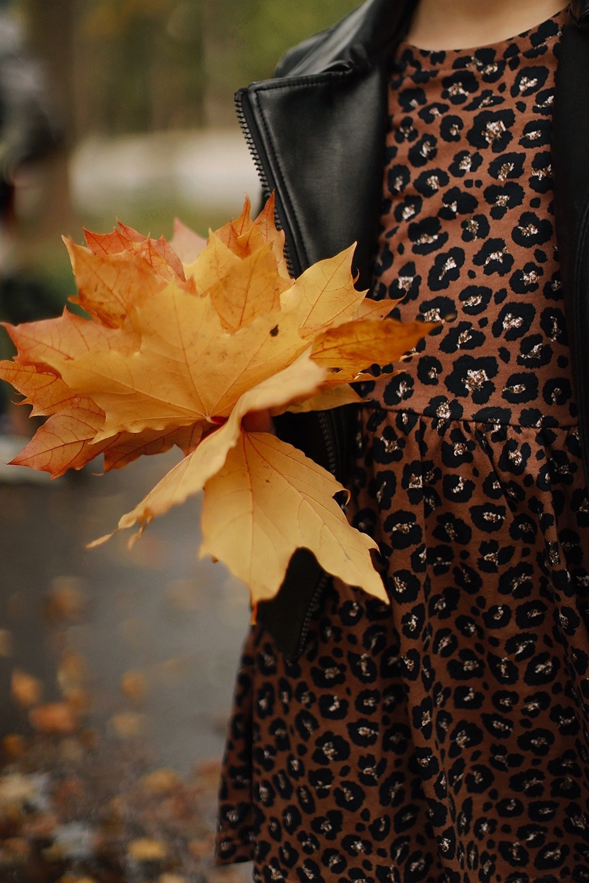 Фотопрогулки осень. Семейный и детский фотограф в Санкт-Петербурге, Анастасия Воротова