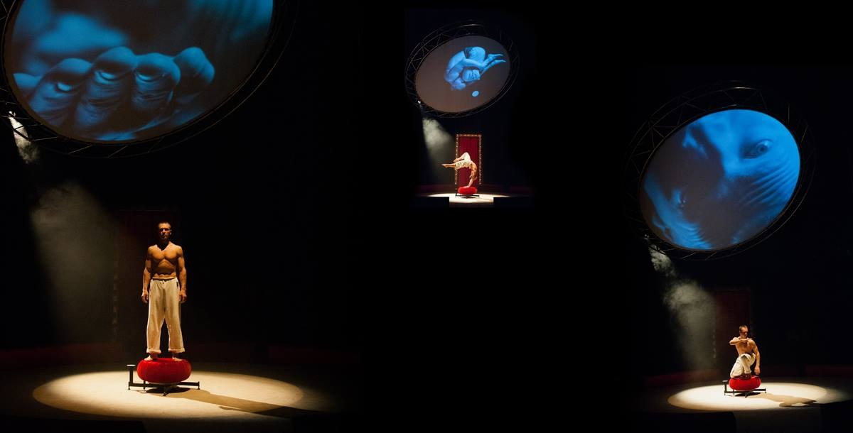 360 градусов. Фотограф Алиса Калинина