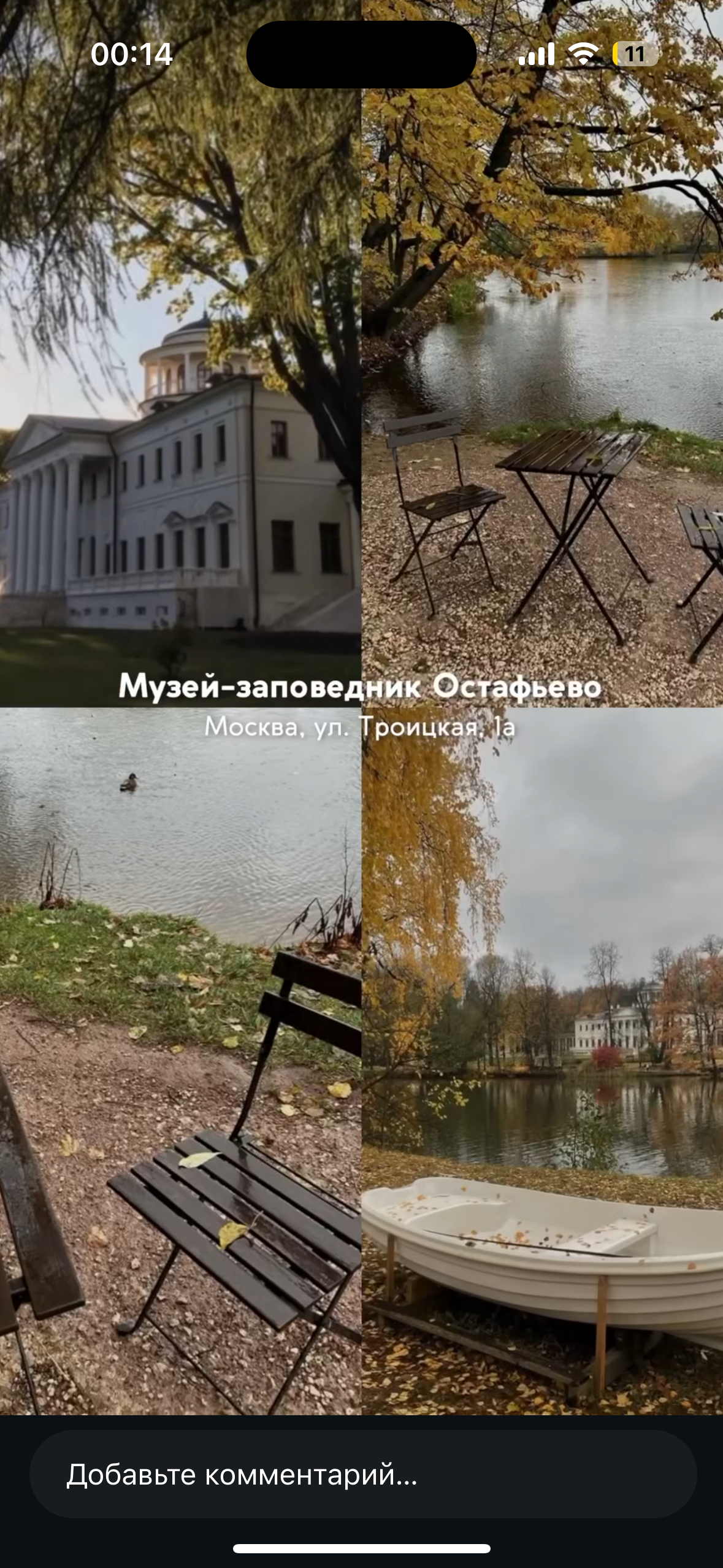 Природные. Фотограф Светлана Мерзлякова