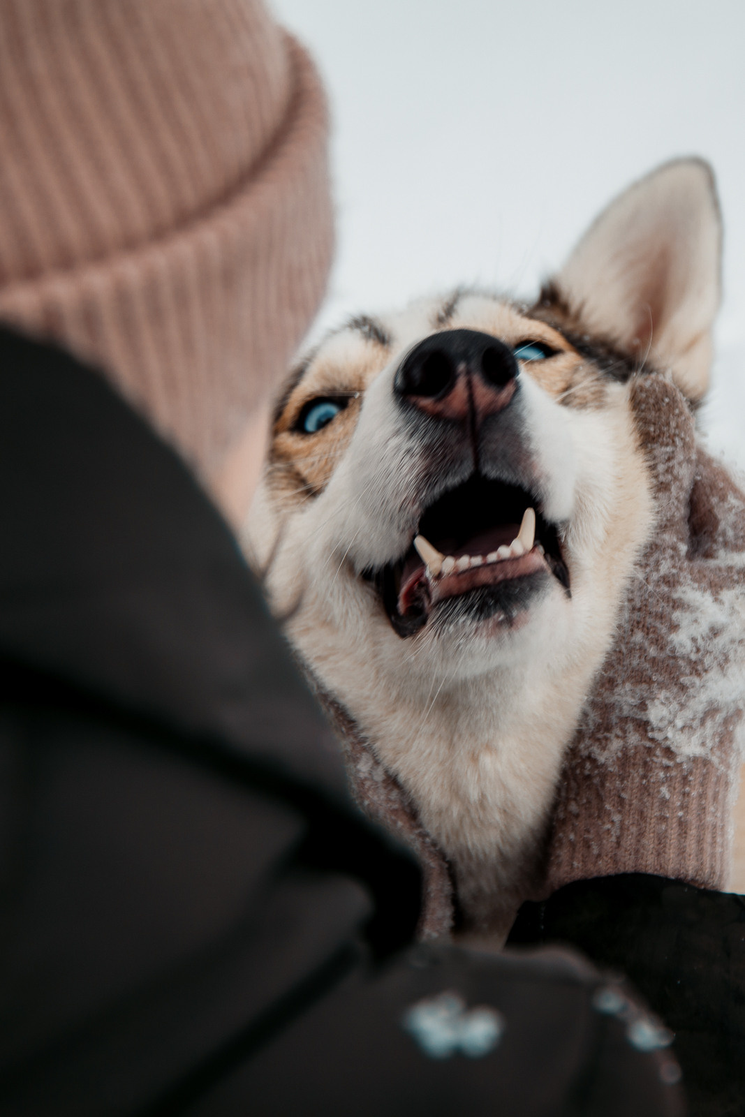 Оля Корж | подСОЛНЕЧНЫЙ фотограф | Санкт-Петербург