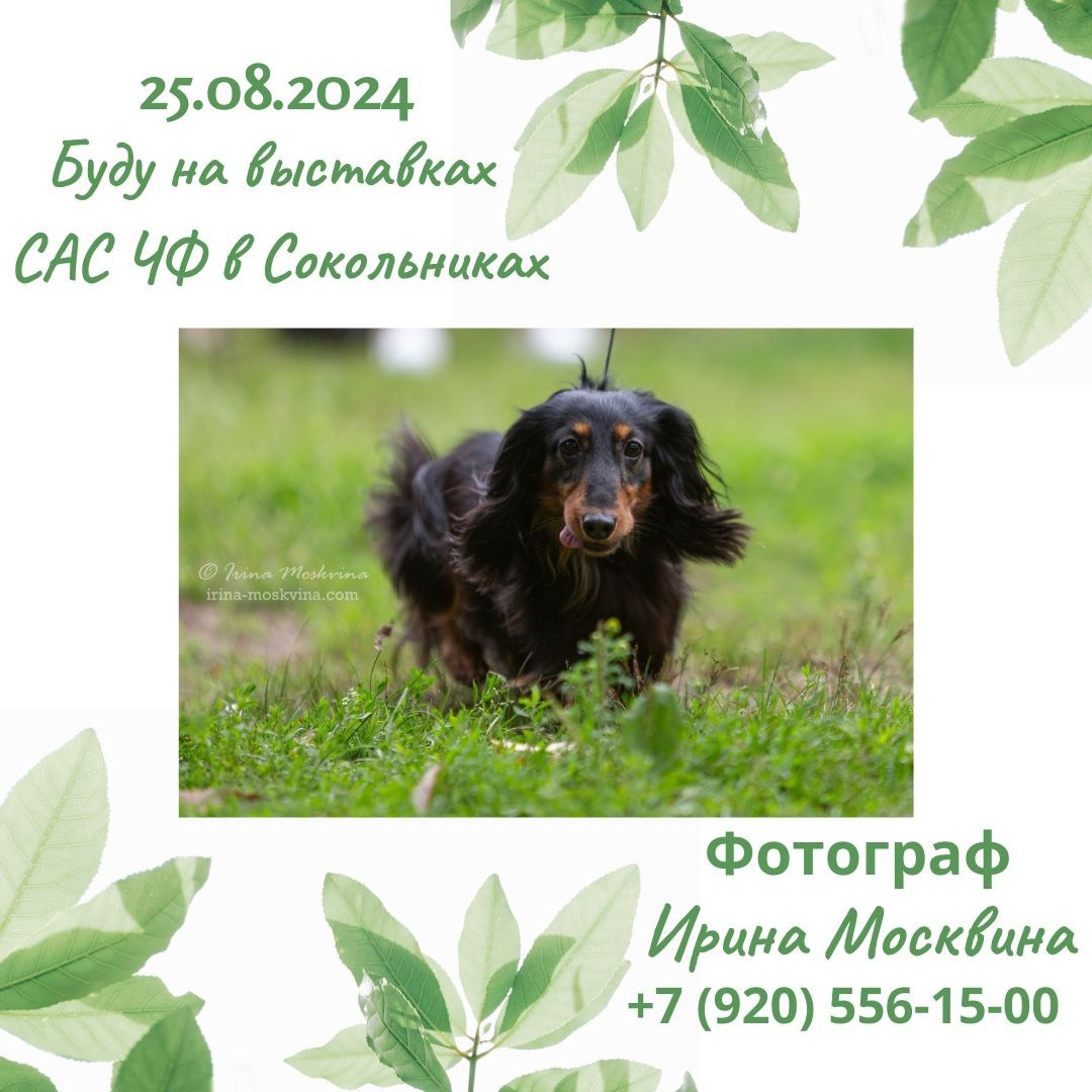 Анонсы. Ирина Москвина | фотограф | Москва