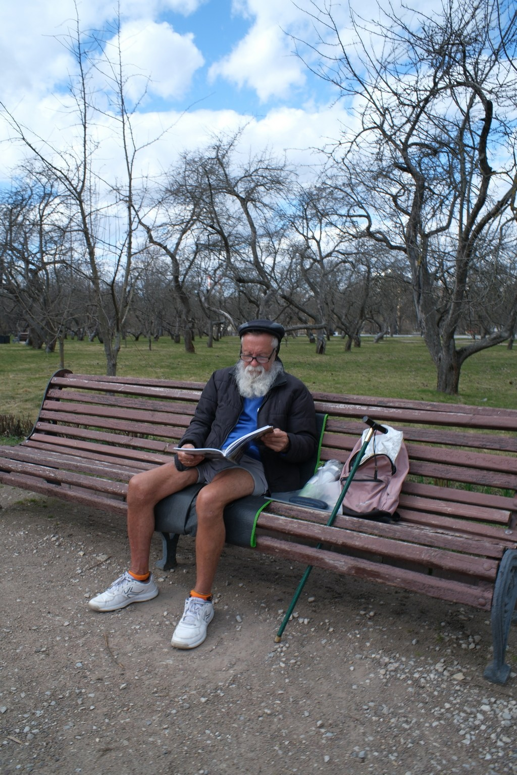 Улица, люди, жизнь…