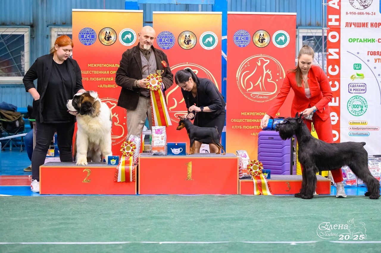 Отзывы. Фотограф анималист Елена Галдина г. Красноярск