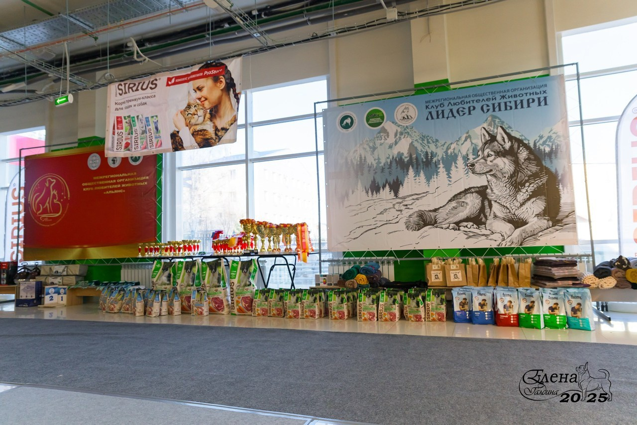 Отзывы. Фотограф анималист Елена Галдина г. Красноярск