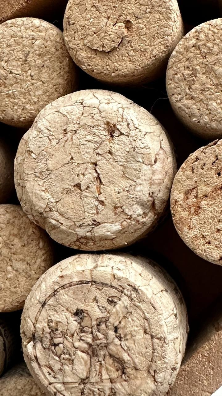 КУРС ПО ФОТО/ВИДЕО СЪЕМКЕ «СЧАСТЬЕ В ПРОСТОМ». Фотография. Визуально-чувственный мир души