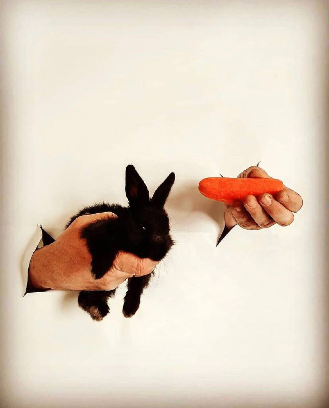 Интенсив «ТВОРИ ЗИМУ». Фотограф Светлана Анисимова обучение фото видео рилс