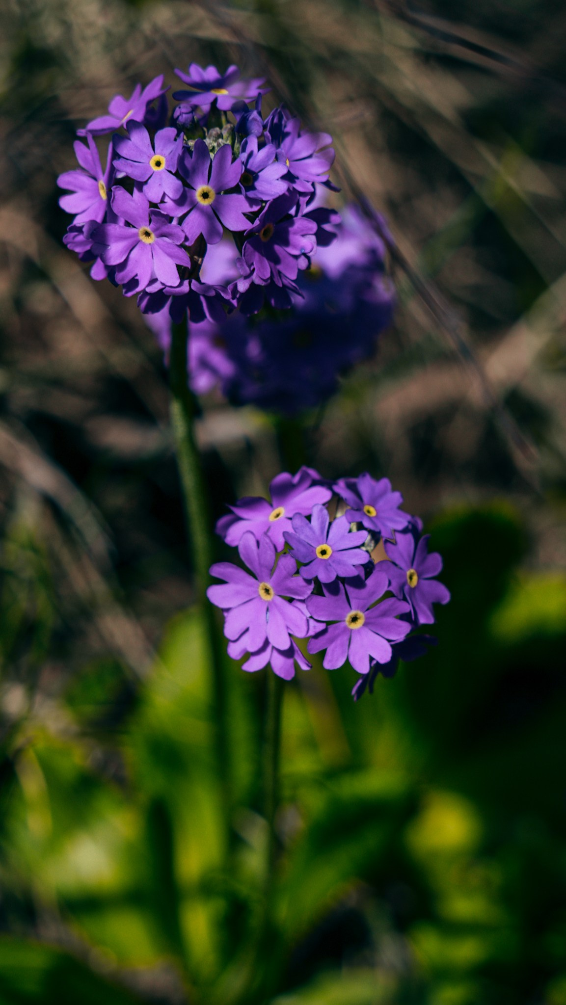 Кыргызстан. Человек с фотокамерой