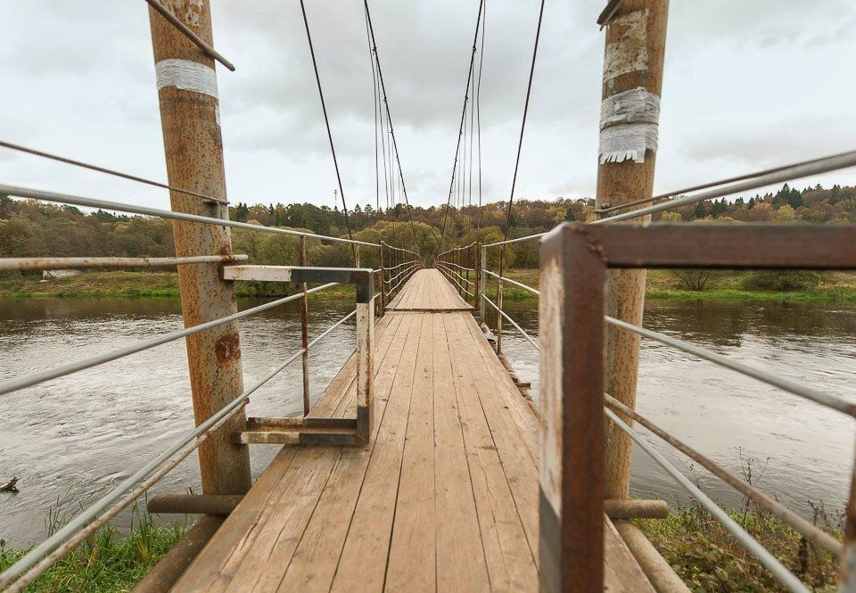 Фотосессия на природе в МО — лесные тропы, поля и речные берега
