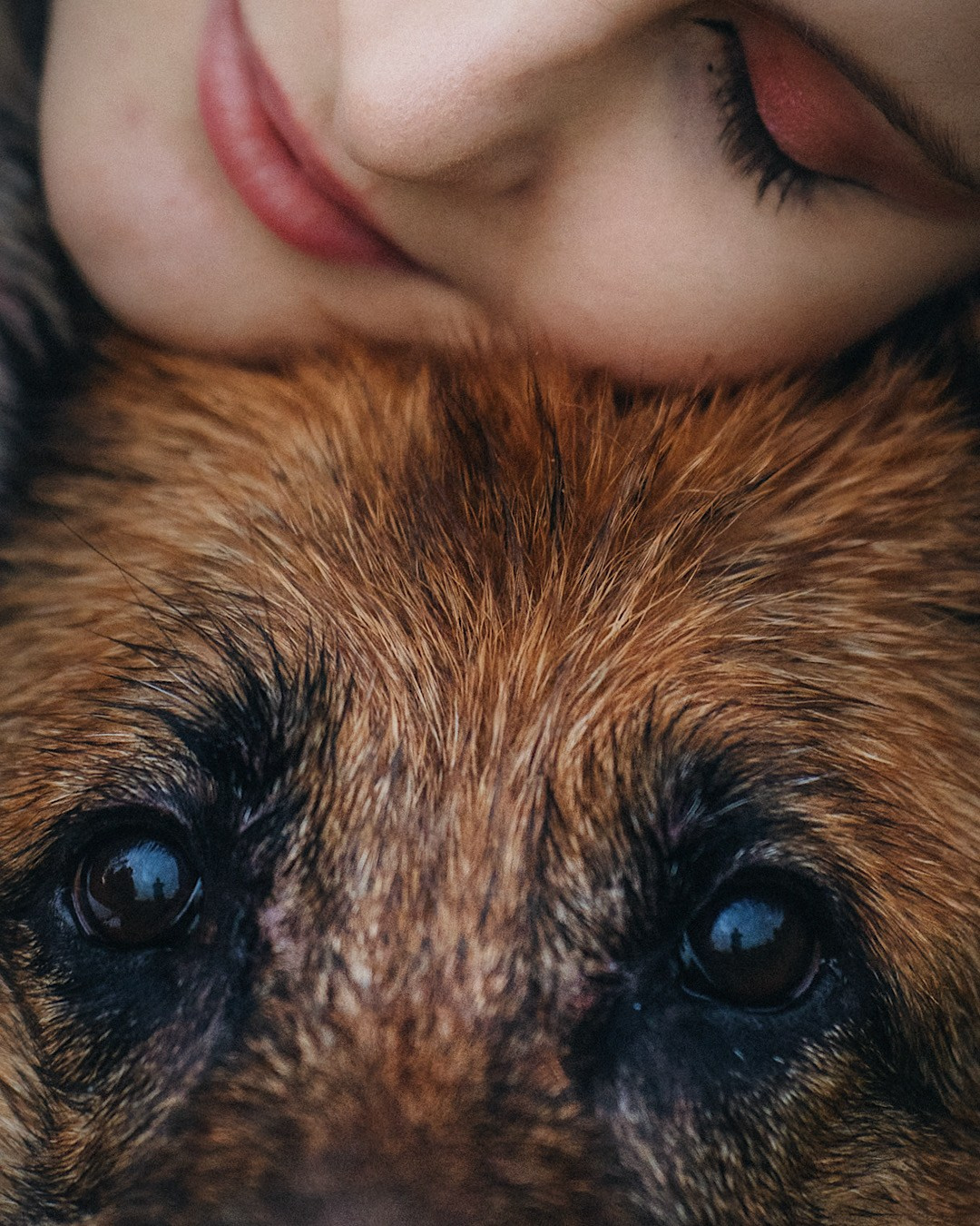 Вика и Фрея. Фотограф анималист в Москве и Санкт-Петербурге Свиридова Анна