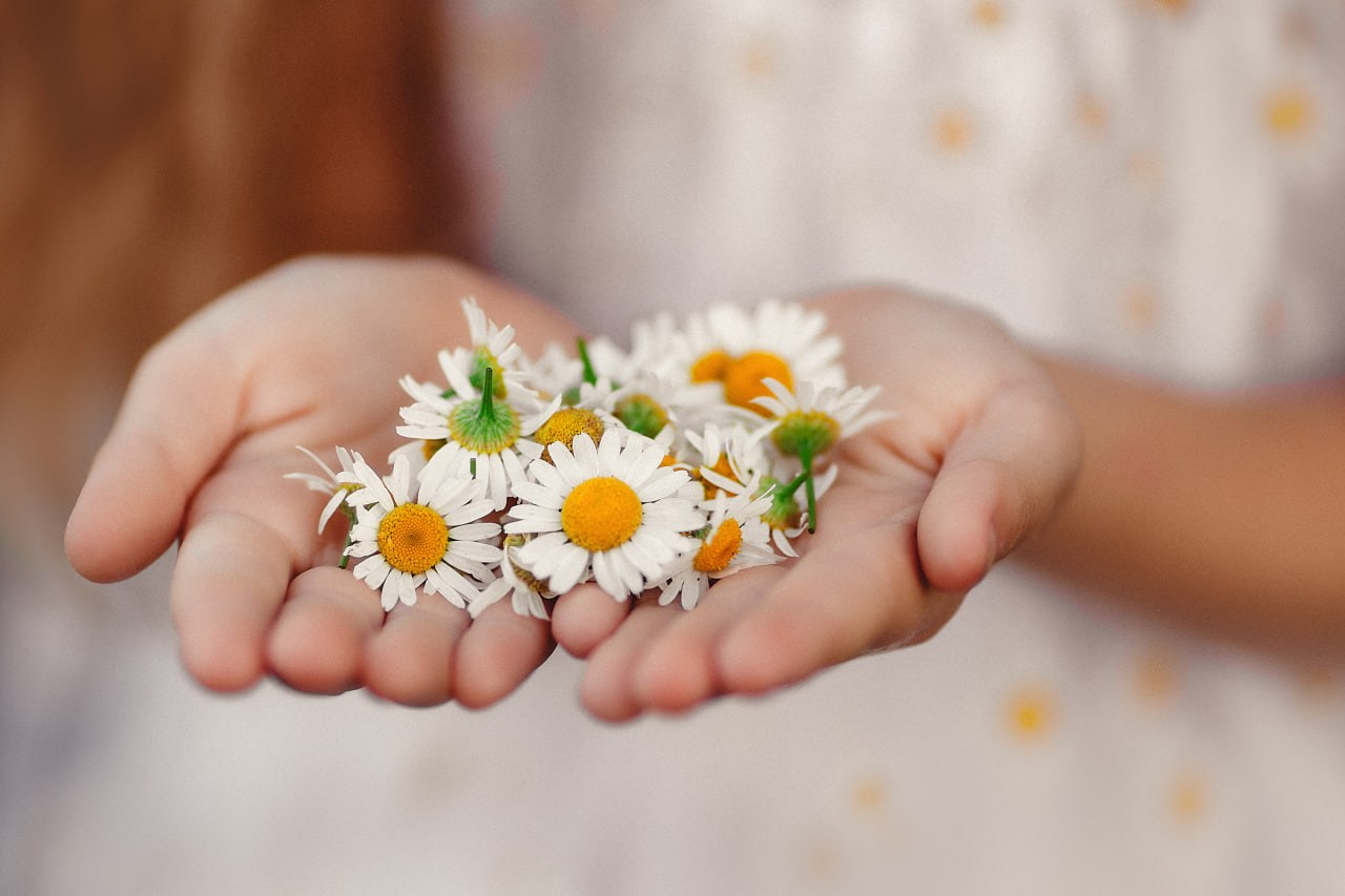 Проект «366»|2024|Фото каждый день. LENA GRACE photographer ||ЛЕНА ГРЭЙС фотограф