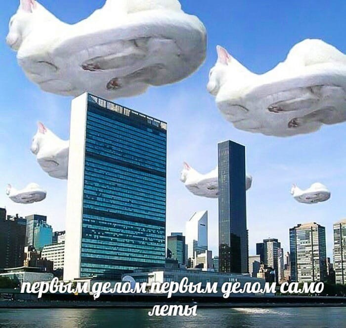 2025.08.20 Ярослав и Катя. Вова Вершинин - свадебный видеограф в Нижнем Новгороде, Москве и всей России