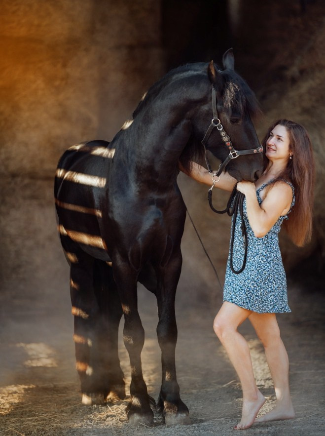 Аренда лошадей для фотосессии в Петрозаводске. Фотограф Варвара Ермоленко