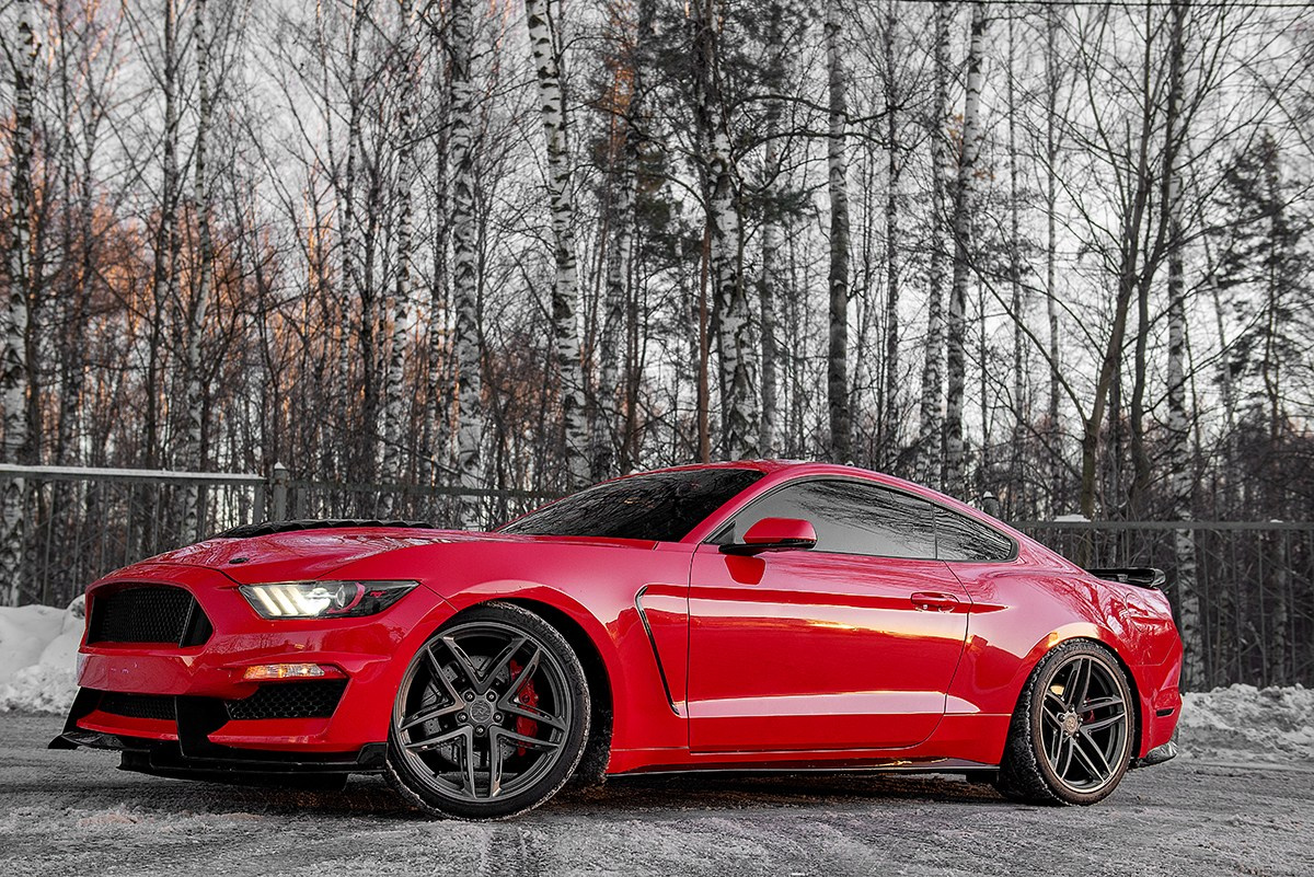 Mustang. Семейный и коммерческий фотограф в Сочи Александр Бодунов