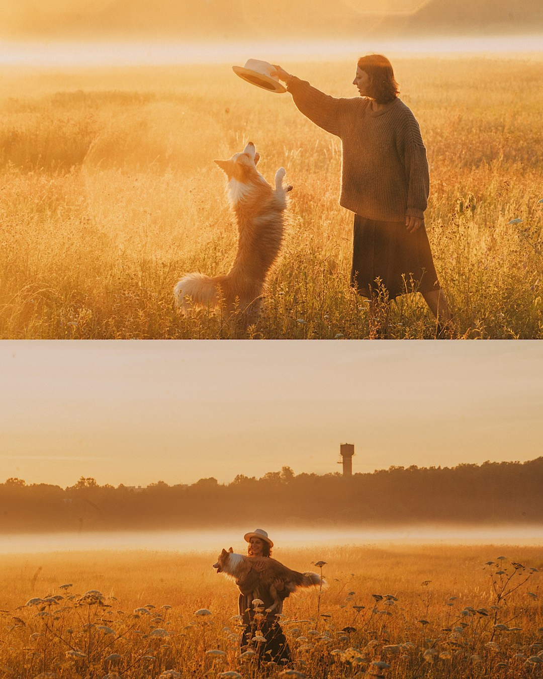 Рина и Марси. Фотограф анималист в Москве и Санкт-Петербурге Свиридова Анна