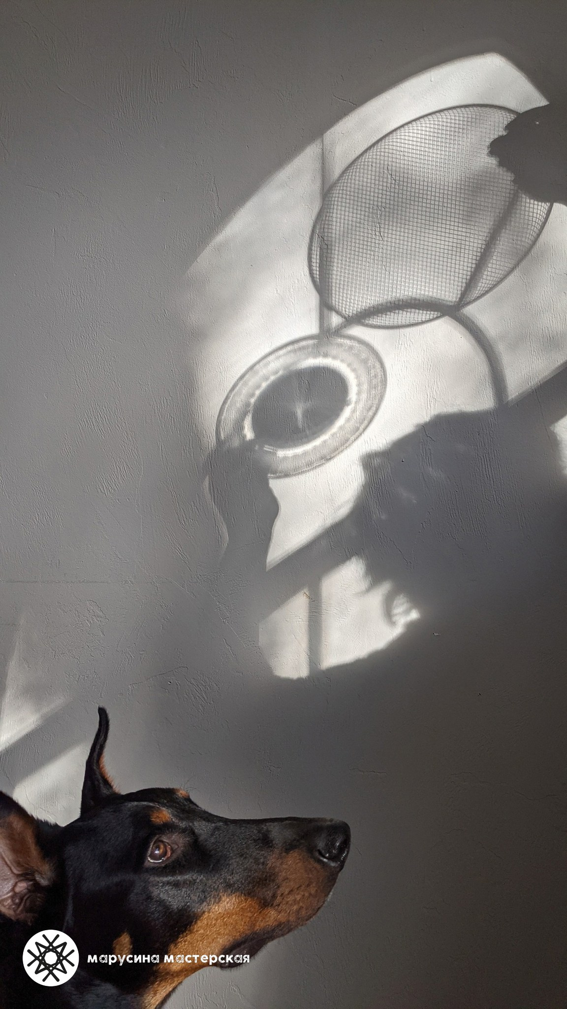 Творческая фотография, снятая в рамках зимней творческой практики, автор — Анна Хабренко