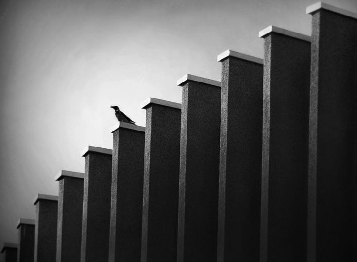 Композиция кадра. Семейный и свадебный фотограф в Майкопе Михаил Мартиросян