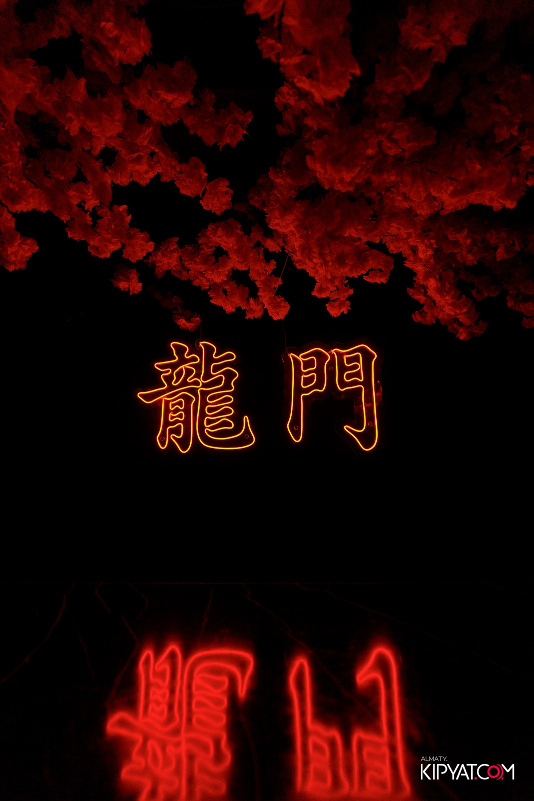 SHANGHAI 88 BAR. КИПЯТКОМ АЛМАТЫ! Фотосъемка мероприятий в Алматы