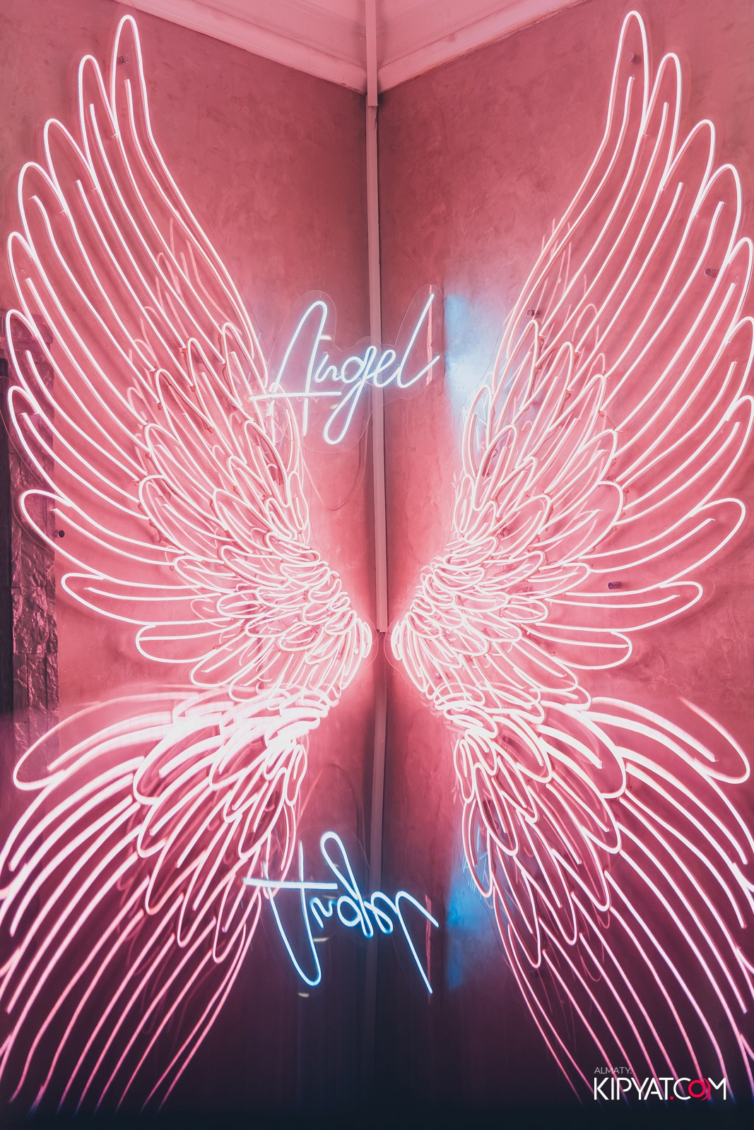 УХО И МЕДВЕДЬ НА КУРМАНГАЗЫ. КИПЯТКОМ АЛМАТЫ!