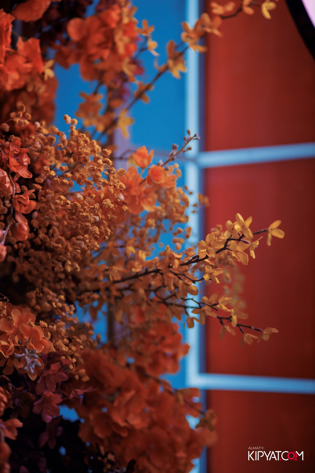 FRIENDS BAR & TERRACE. КИПЯТКОМ АЛМАТЫ!