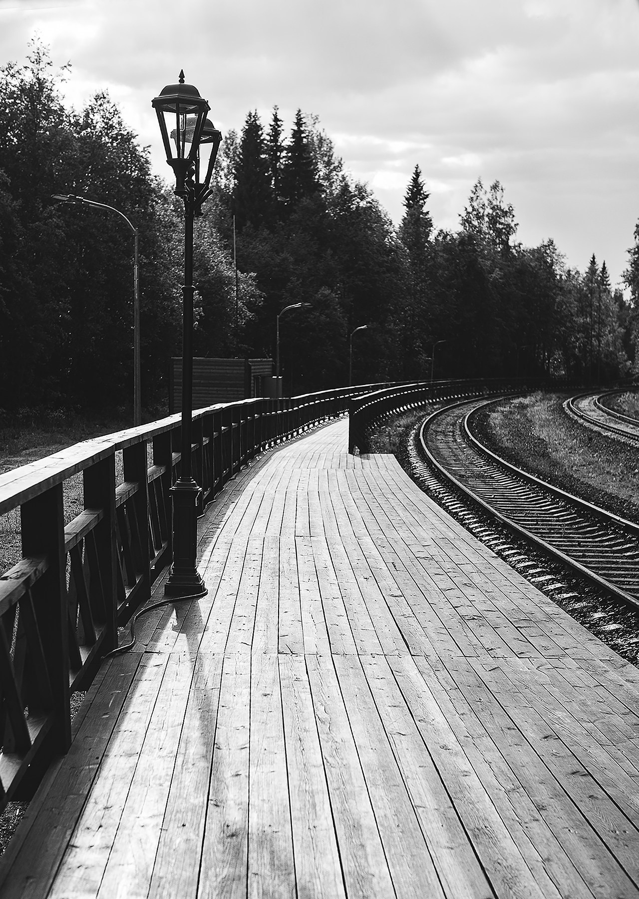 Карелия. Фотограф-анималист Наталья Светличная