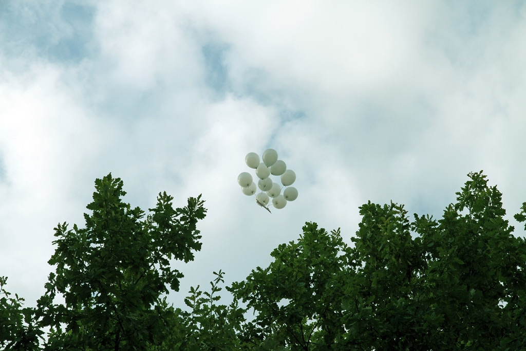 Репортажное фото (Свадьба). Свадебный видеограф во Владимире и Владимирской области Андрей Казённо