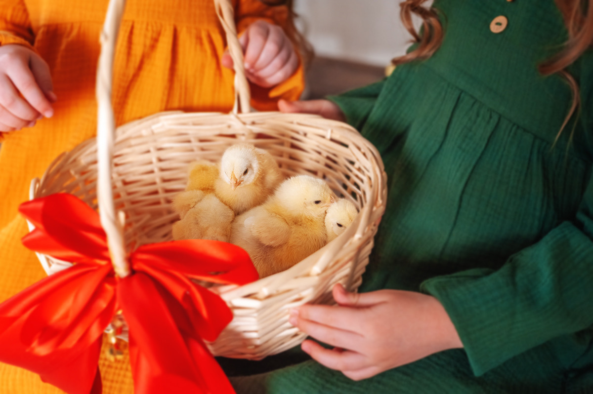 Детский пасхальный проект. Семейный, детский фотограф в Воронеже Анна Никитина